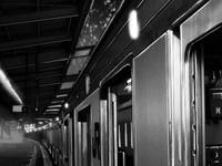 Кадр Она и ее кот (видео)