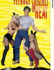 Возбуждённые молодые кошки