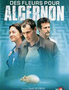 Цветы для Алджернона