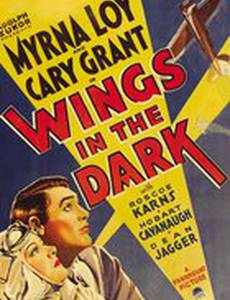 Крылья во тьме