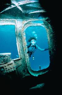 Кадр Мокрое золото