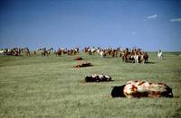 Кадр Танцующий с волками