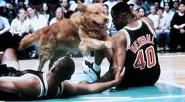 Кадр из фильма "Король воздуха: Золотая лига" - 2