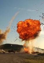 Стив Райли фото