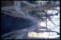 Кадр Властелин колец: Братство кольца