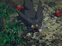 Кадр Тэнти – лишний! Рё-о-ки