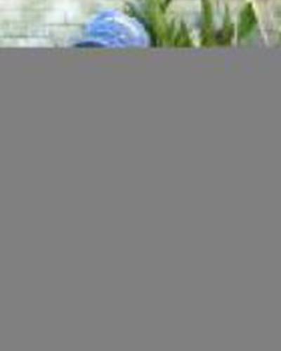 Джо Уорсон фото