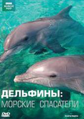 Дельфины: Морские спасатели
