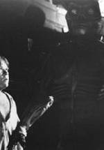 Джои Симмрин фото