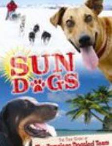 Sun Dogs