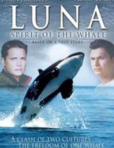 Luna: Spirit of the Whale