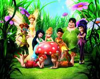 Кадр Феи (видео)