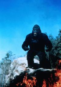 Кадр Кинг Конг жив