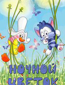 Ночной цветок