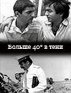 40 градусов в тени