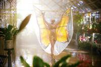 Кадр Женщина-бабочка 