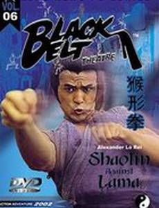 Шаолинь против Ламы