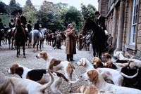 Кадр На исходе дня