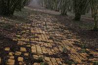 Кадр Заколдованное королевство (мини-сериал)