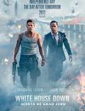 Постер из фильма "Штурм Белого дома" - 1