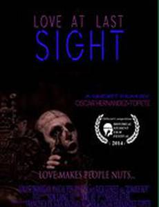 Love at Last Sight