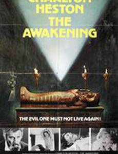 Алмаз семи звезд