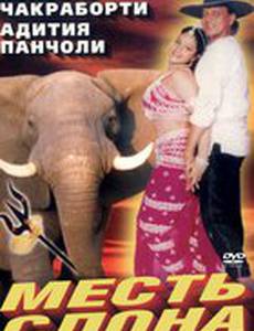 Месть слона