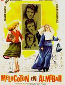 Melocotón en almíbar