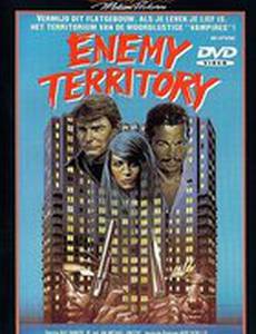 Вражеская территория