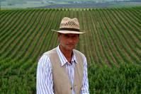 Кадр 2 ягоды