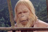 Кадр Планета обезьян