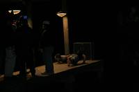 Кадр Теория убийств