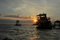 Кадр Звери дикого Юга