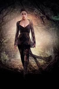 Постер Прекрасные создания