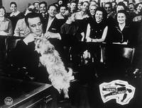 Кадр Анатомия убийства