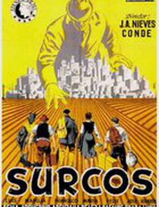 Surcos
