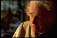 Кадр Властелин колец: Братство кольца