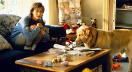 Кадр из фильма "Король воздуха" - 1