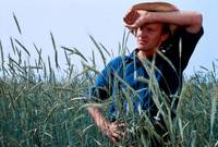 Кадр Свидетель