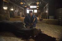 Кадр Ганнибал