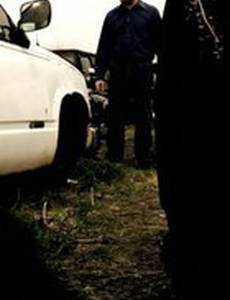 Surfacing (видео)