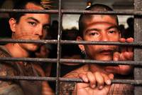 Кадр Весёлые каникулы