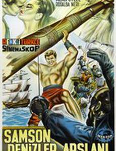 Геркулес и пираты