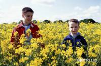 Кадр Миллионы