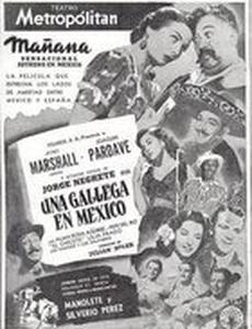 Una gallega en México