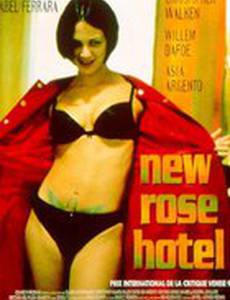 Отель Новая Роза