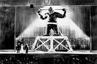 Кадр Кинг Конг