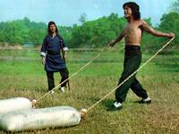 Кадр Бесстрашная гиена