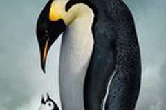 Птицы 2: Путешествие на край света