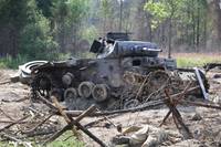 Кадр Белый тигр